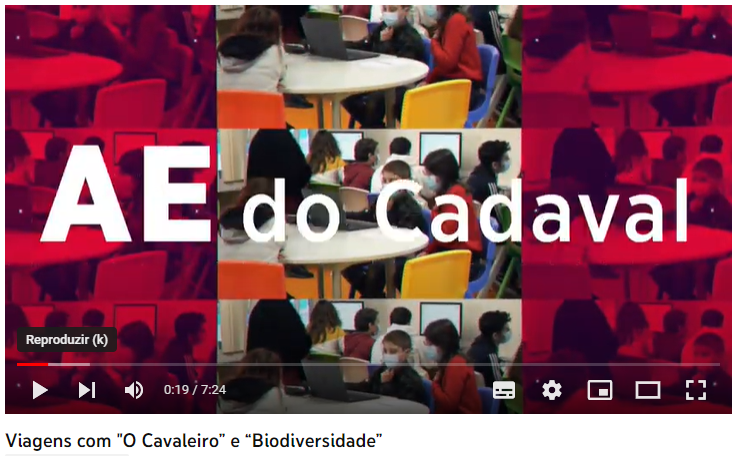 Viagem com "O cavaleiro da Dinamarca" e "Biodiversidade" - Exemplo de DACs 